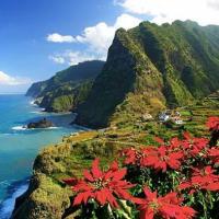 МАДЕЙРА – ЦВЕТНАТА ГРАДИНА НА ПОРТУГАЛИЯ