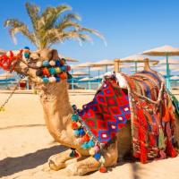 Египет - ПЕРЛИТЕ НА ЕГИПЕТ – Кайро и Хургада - Jasmine Palace Resort 5* STANDARD - 2024