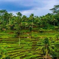 Сингапур и Бали + 8 целодневни екскурзии - 2025/2026