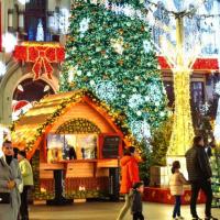 Румъния - Коледни базари в Крайова - 2025