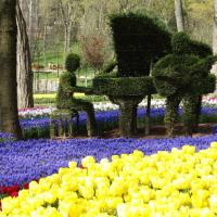 Фестивал на лалето в Истанбул 2026 (2 нощувки с нощен преход)