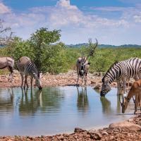 ЕКСКУРЗИЯ ДО НАМИБИЯ